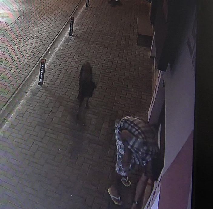 d Muğla’da, dükkanın önündeki mama kaplarını çaldı