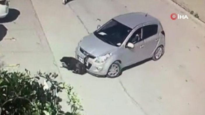 i Ankara'da aracını kaldırımda yatan köpeğin üzerine sürdü