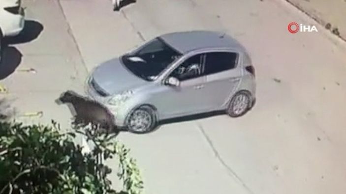 i Ankara'da aracını kaldırımda yatan köpeğin üzerine sürdü