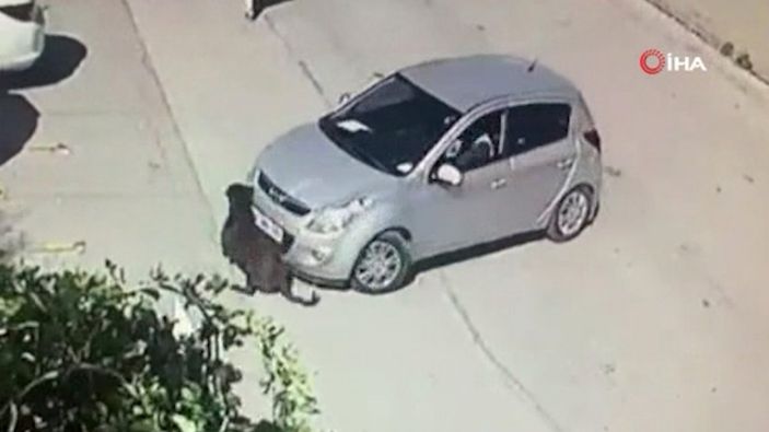 i Ankara'da aracını kaldırımda yatan köpeğin üzerine sürdü