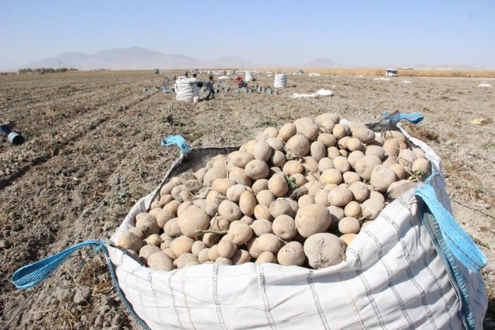 Karaman'da çiftçiler patates hasadına kova atma töreni ile başladı