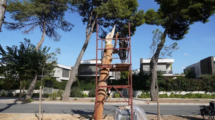 CHP'li Çeşme Belediyesi'nden ağaç heykelleri