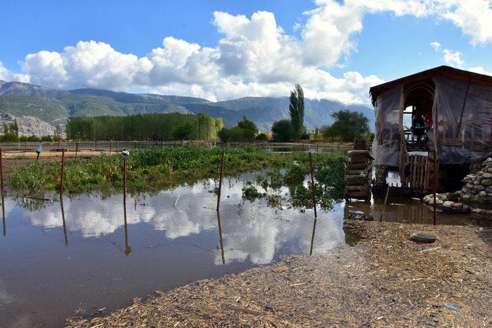 Muğla'da şiddetli yağış tarım arazilerine zarar verdi