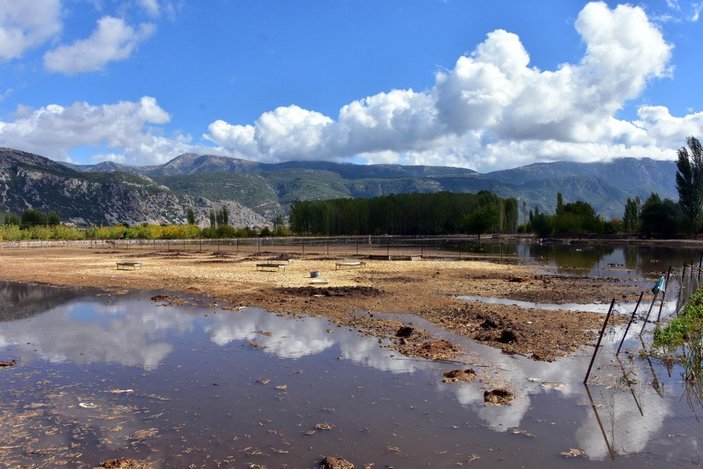 Muğla'da şiddetli yağış tarım arazilerine zarar verdi