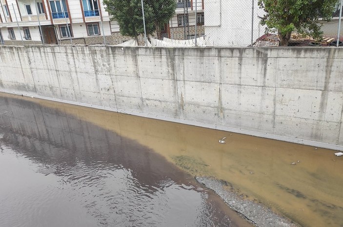 Esenyurt'taki kirlilik için mahalleli yardım bekliyor