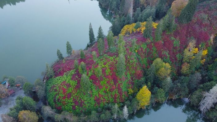 Borçka'nın Karagöl'ünden sonbahar manzaraları