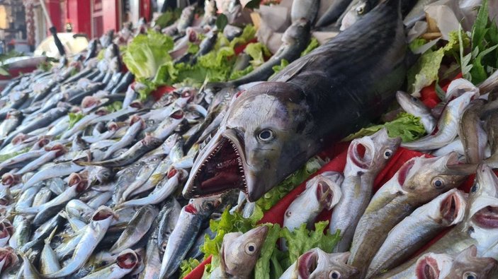 Karadeniz'de toriğin tanesi 300 liraya satılıyor