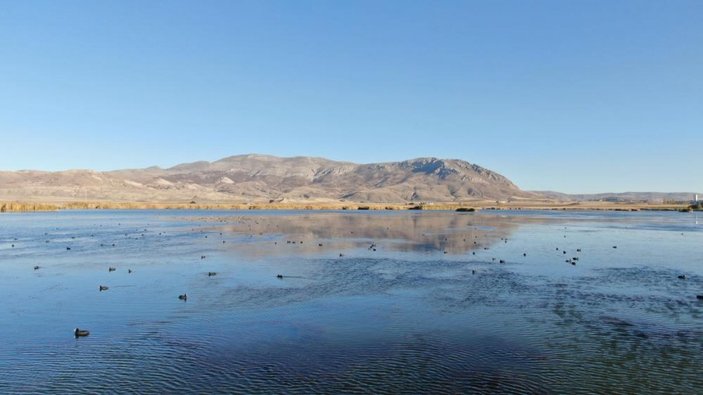Sivas'ın Ulaş Gölü, kuraklıktan kurtuldu: Karabataklar yuvasına döndü