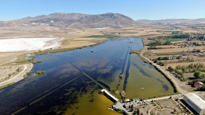 Sivas'ın Ulaş Gölü, kuraklıktan kurtuldu: Karabataklar yuvasına döndü