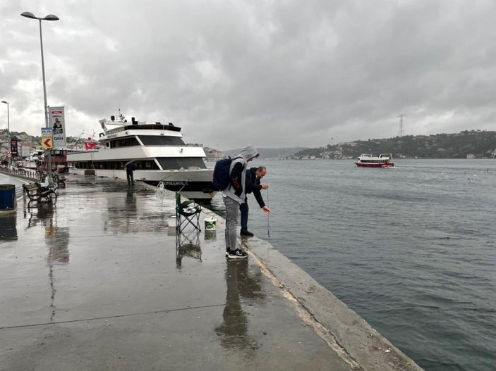 Arnavutköy sahilinde denizanası istilası