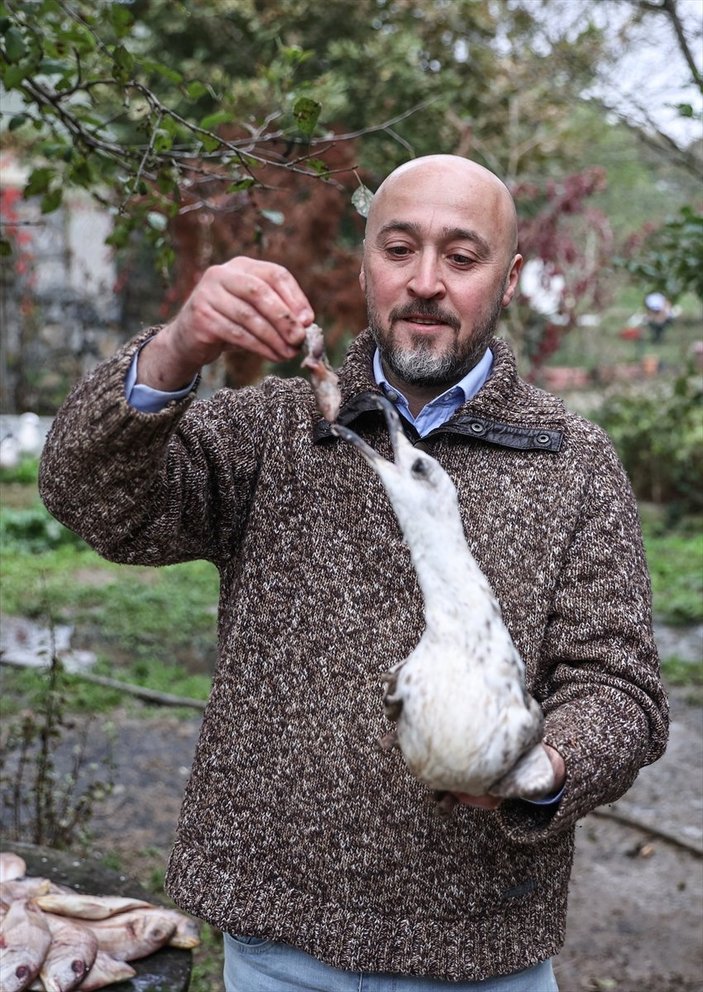 Sokaktan kurtardığı onlarca hayvan için İstanbul'dan köye taşındı