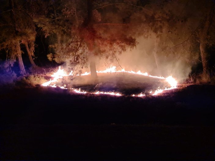 Antalya'da 3 ayrı yerde eş zamanlı orman yangınları çıktı