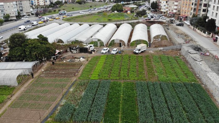 İstanbul'un göbeğinde 6 dönümlük organik tarım alanı havadan görüntülendi