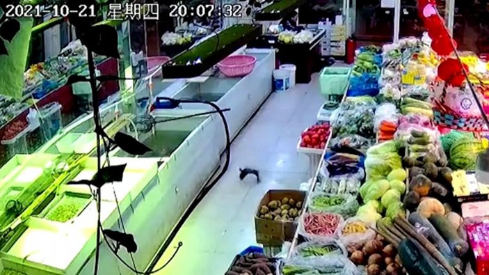 Çin'de market sahibi, kaçan balığı yerine tekmeledi