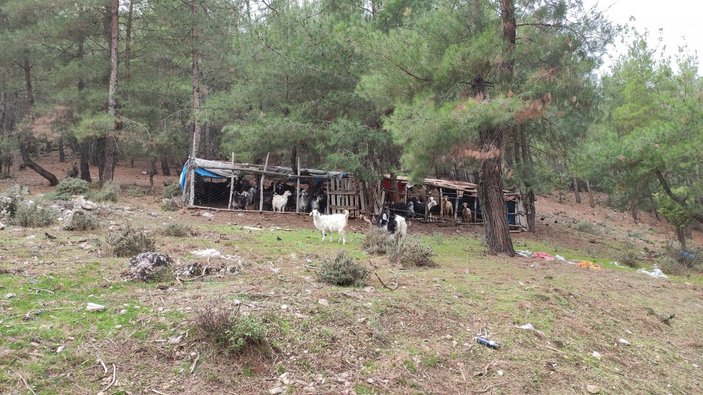 Bursa'da çoban, kendi mini hidroelektrik santralini kurdu