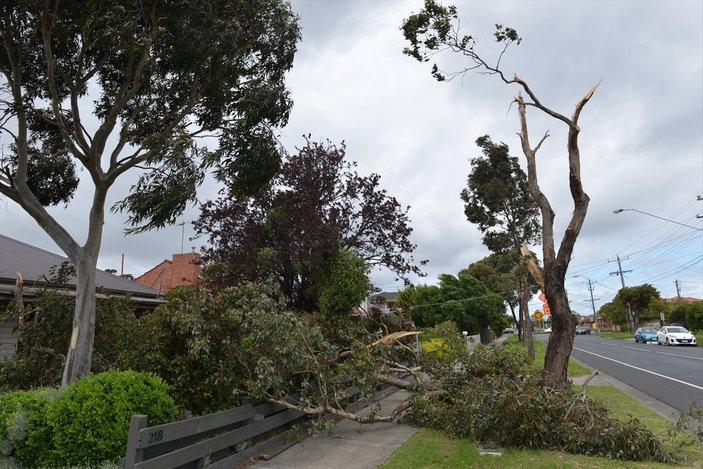 Avustralya’da şiddetli rüzgar evleri elektriksiz bıraktı