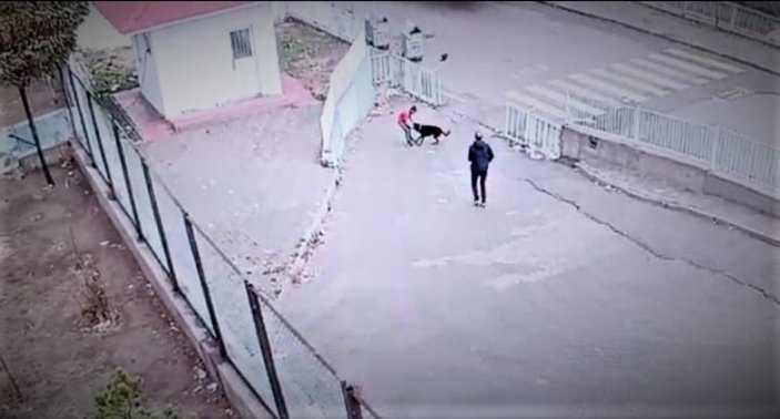 Van'daki çocuğu, köpek saldırısından güvenlik kurtardı
