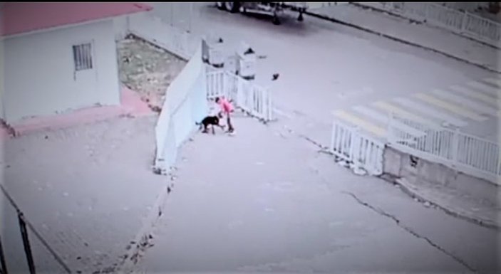 Van'daki çocuğu, köpek saldırısından güvenlik kurtardı
