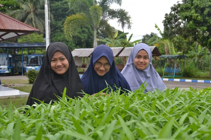 İHH, Endonezya'daki yetimlere topraksız tarım eğitimi veriyor