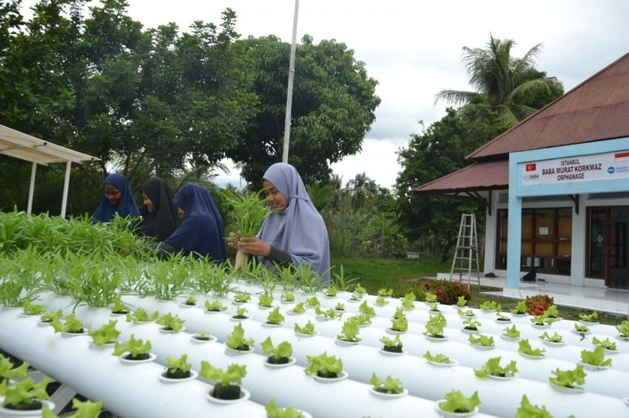 İHH, Endonezya'daki yetimlere topraksız tarım eğitimi veriyor