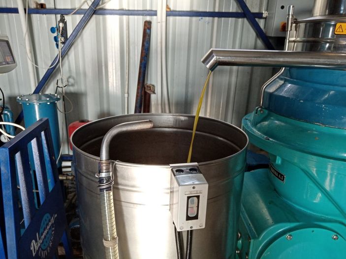 Zeytinyağı üretimi