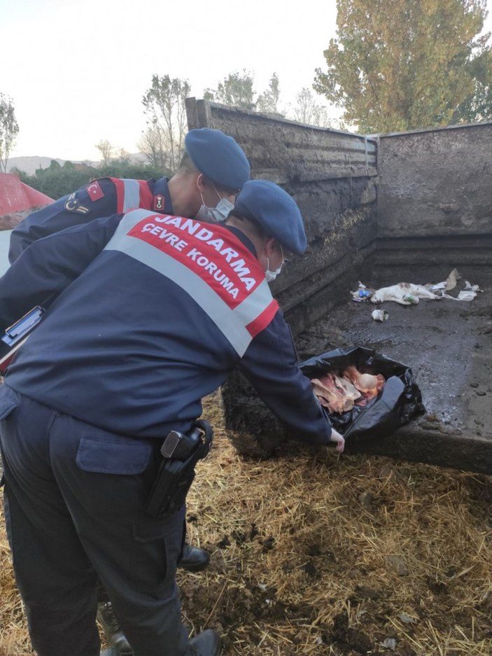 Düzce'de 20 atı kesen baba ile oğluna ceza