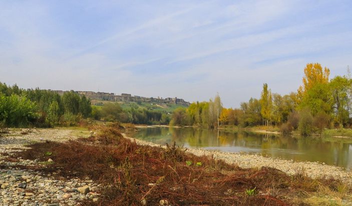 Diyarbakır Hevsel Bahçeleri'nde görsel şölen: Farklı türden kelebeklere ev sahipliği yapıyor
