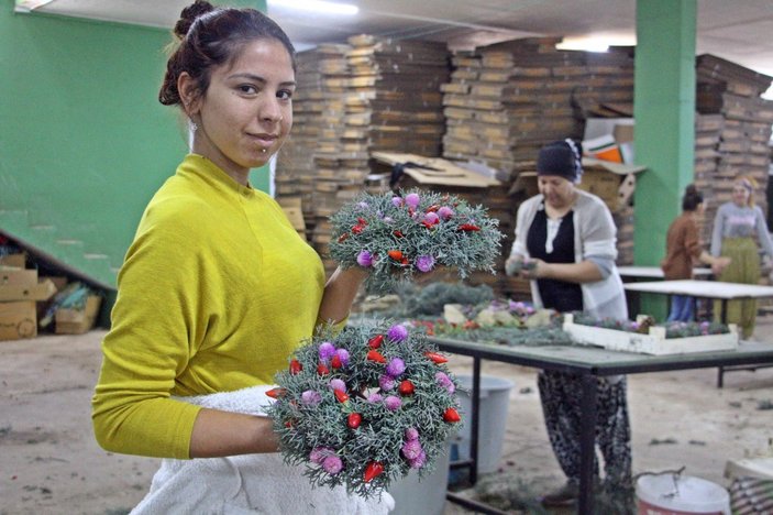Avrupa'nın yılbaşı çiçekleri Antalya'da hazırlanıyor