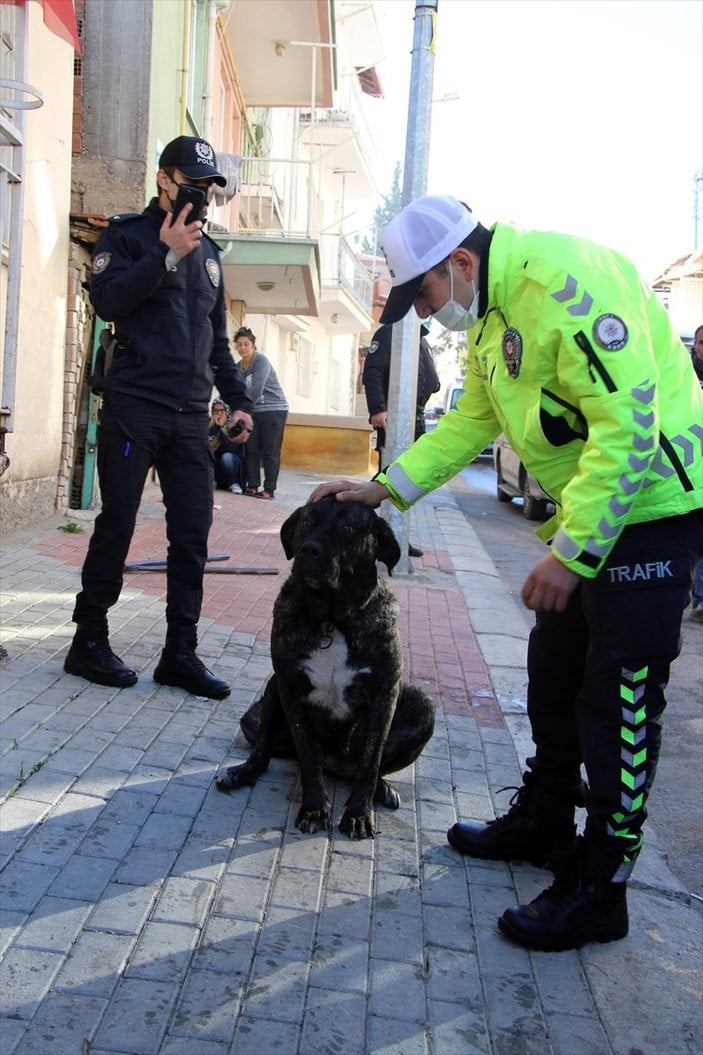 Uşak'ta yangında mahsur kalan köpeği itfaiye kurtardı