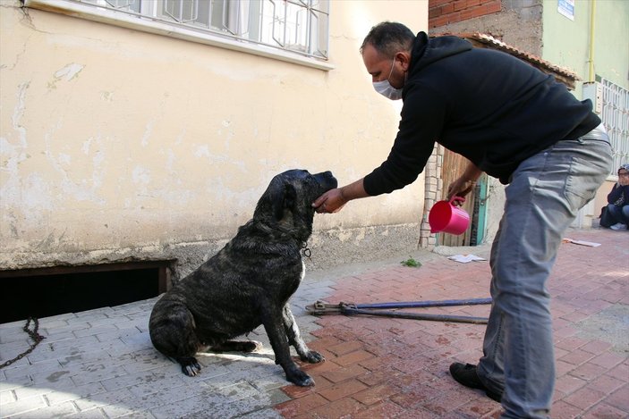 Uşak'ta yangında mahsur kalan köpeği itfaiye kurtardı