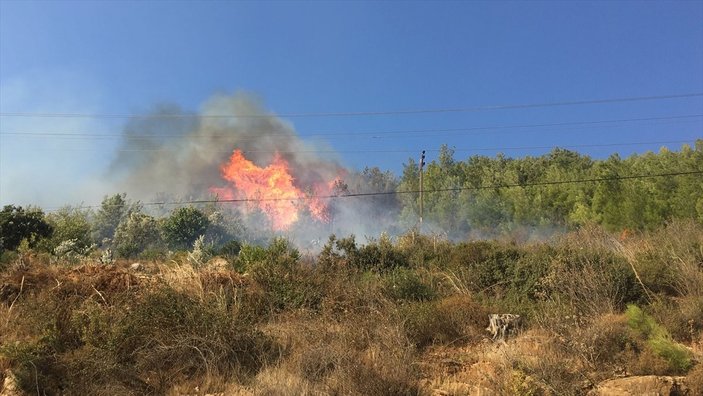 Mersin'de orman yangını