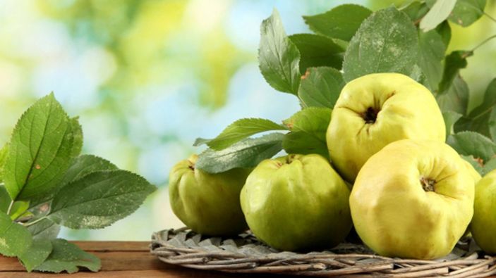 Burun kanamasına iyi geliyor, kalbi güçlendiriyor: Ayva her derde deva!