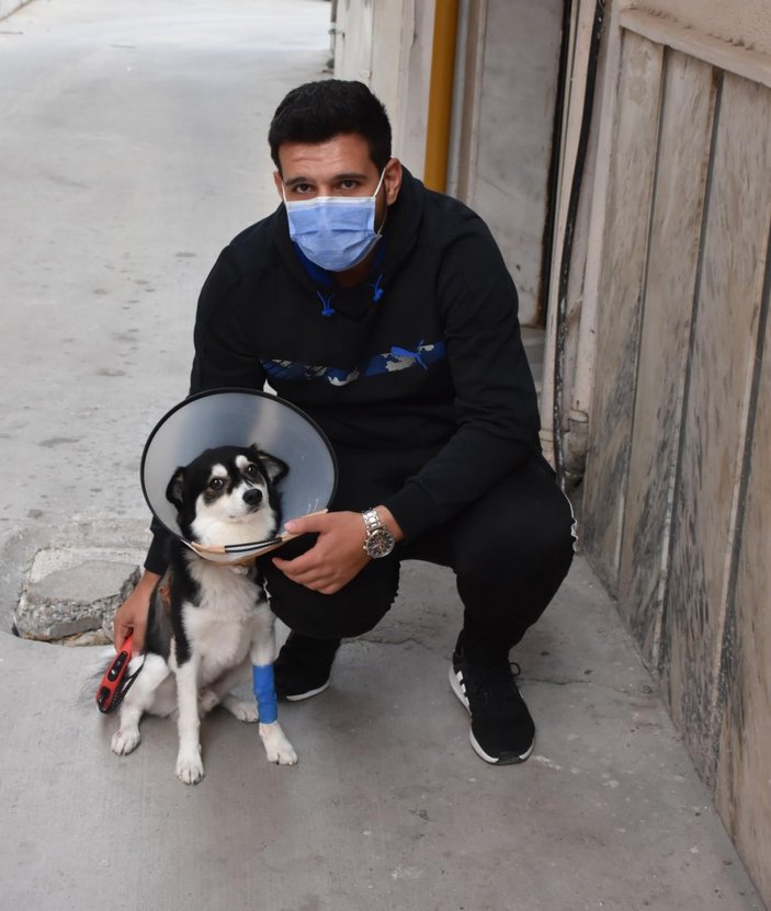 İzmir’de, yürüyüşe çıkan köpeğe ve sahibine pitbull saldırdı