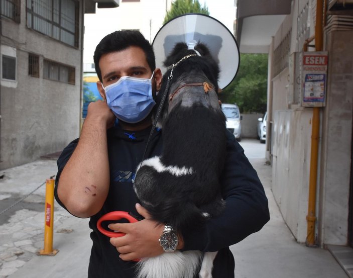 İzmir’de, yürüyüşe çıkan köpeğe ve sahibine pitbull saldırdı