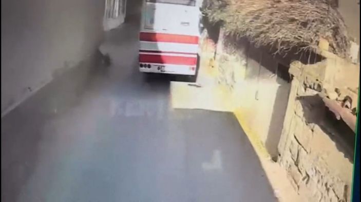 i Isparta’da köpeğe çarptı, yoluna devam etti