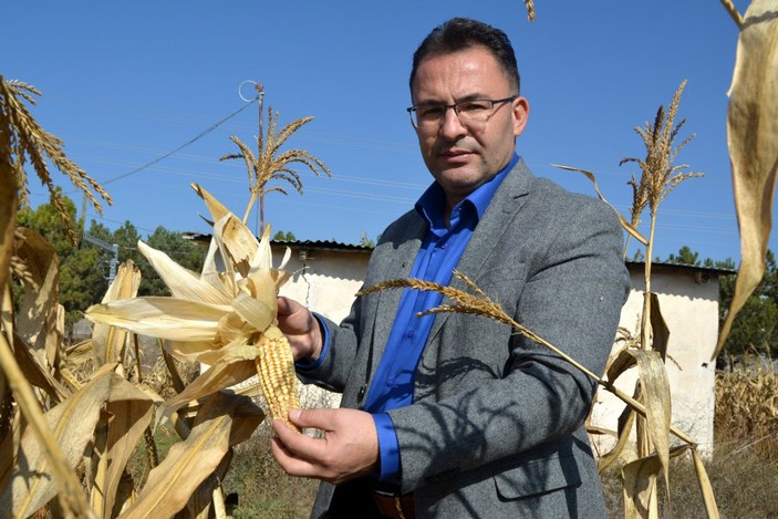 Sivas'ta bilim insanları, yerli tohum projesinden olumlu sonuçlar aldı
