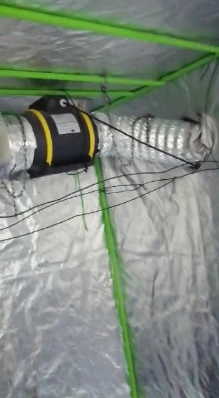 Düzce'de çadır içinde uyuşturucu madde yetiştiren kişi yakalandı