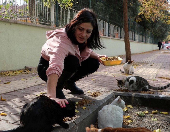 Gaziantep’te, kedileri çuvala koyup götürürken yakalandı