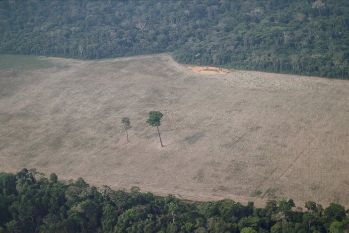 Amazonlar'da son 15 yılın en büyük orman kaybı yaşandı