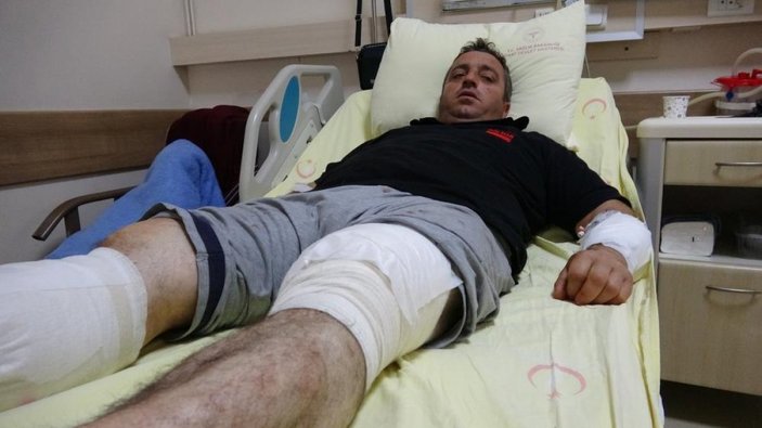 Tokat'ta ayı saldırısına uğradı, güreşerek kurtuldu