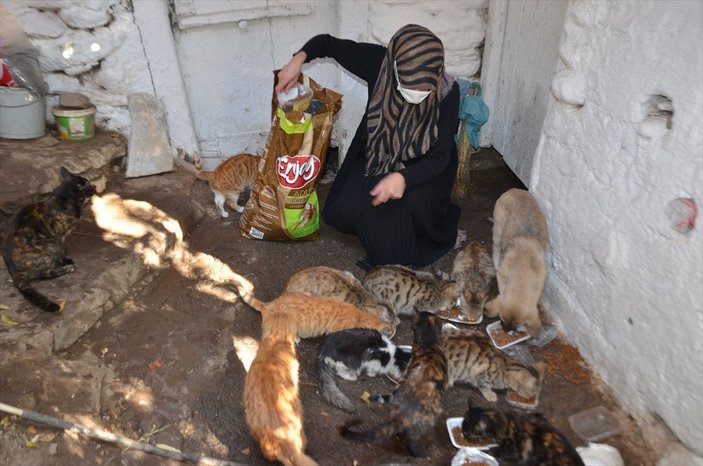 Muş'ta 8 yıldır sahiplendiği kedileri evinde besliyor
