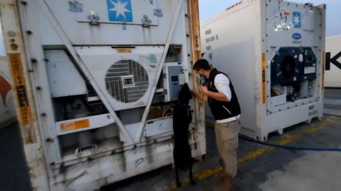 i Mersin'de muz yüklü konteynerde 6 kilo 750 gram kokain yakalandı