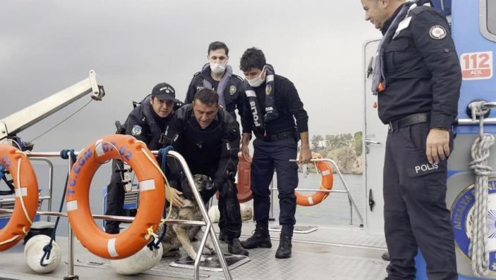 Antalya'da falezlerde mahsur kalan köpeği deniz polisi kurtardı