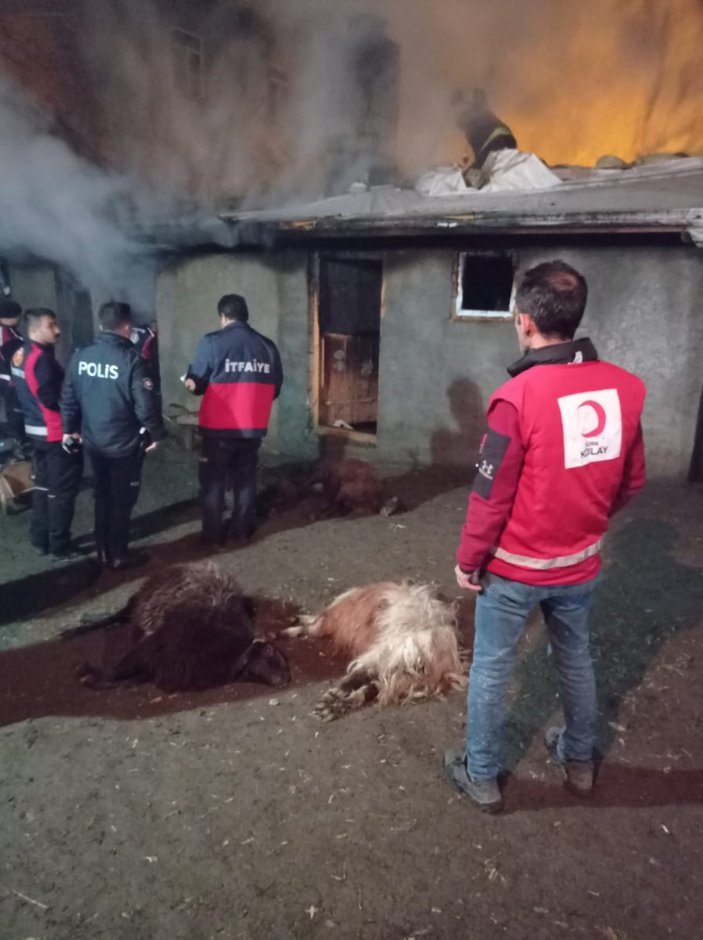 Ağrı'da çıkan yangında 16 hayvan öldü