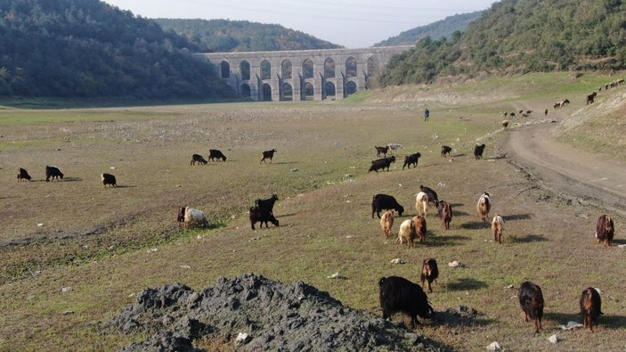 Alibeyköy Barajı'nda doluluk oranı 17.3'lere geriledi