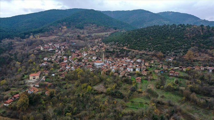 Türkiye'de bir ilk: Köyler kalkınmak için şehir değiştirecek