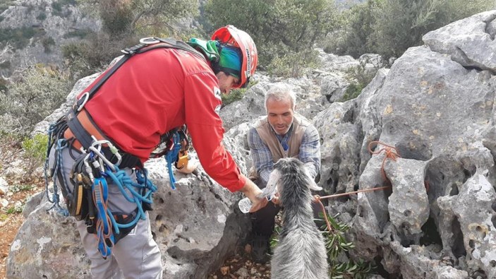 Mersin'de 100 metre aşağıda keçi kurtarma operasyonu