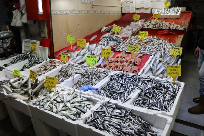 Samsun'da hamsinin kilosu 20 liraya çıktı