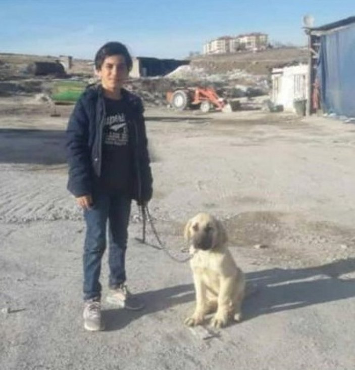 Ankara’da köpeklerin saldırısına uğrayan çocuktan iyi haber