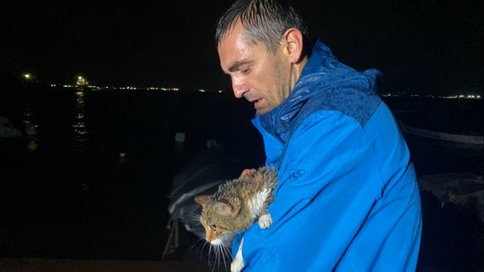 Kocaeli'de fırtınadan etkilenen kedi kurtarıldı